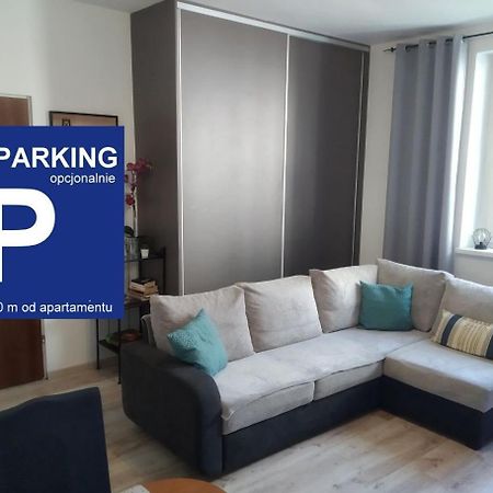 Zacisze Starowki Apartman Stary Toruń Kültér fotó